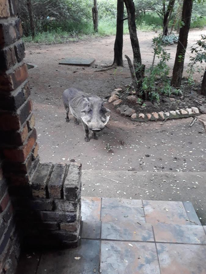 African Sky Marloth Park Exterior foto